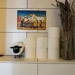 Cozy & Sunny In West